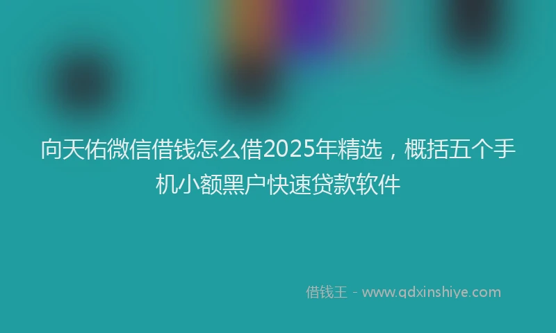 向天佑微信借钱怎么借2025年精选，概括五个手机小额黑户快速贷款软件