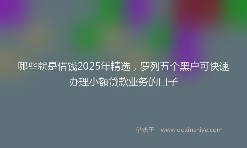 哪些就是借钱2025年精选，罗列五个黑户可快速办理小额贷款业务的口子