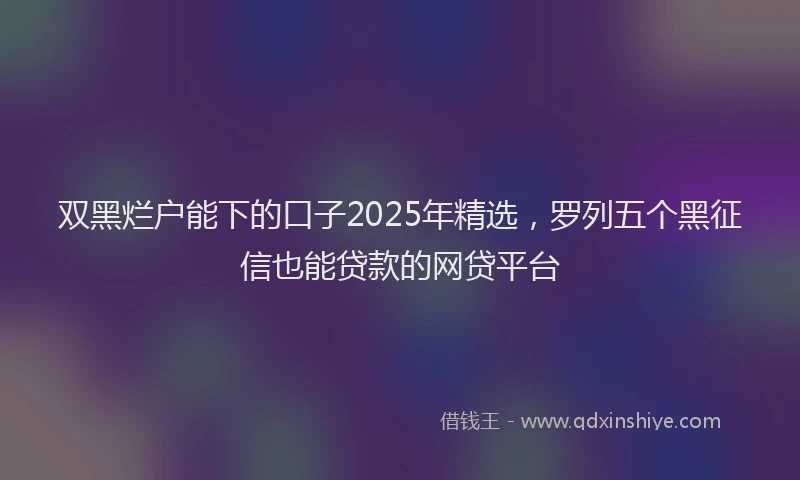 双黑烂户能下的口子2025年精选，罗列五个黑征信也能贷款的网贷平台