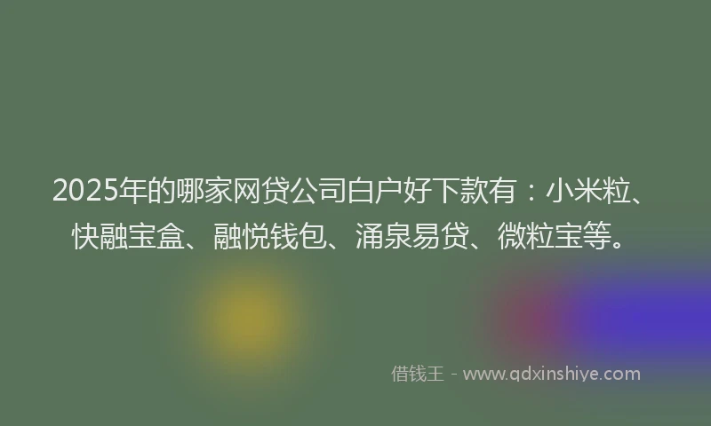 2025年的哪家网贷公司白户好下款有：小米粒、快融宝盒、融悦钱包、涌泉易贷、微粒宝等。