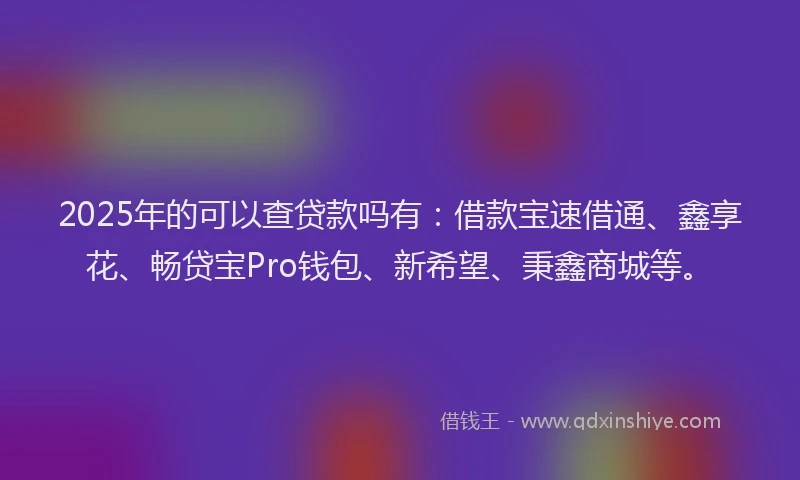 2025年的可以查贷款吗有：借款宝速借通、鑫享花、畅贷宝Pro钱包、新希望、秉鑫商城等。