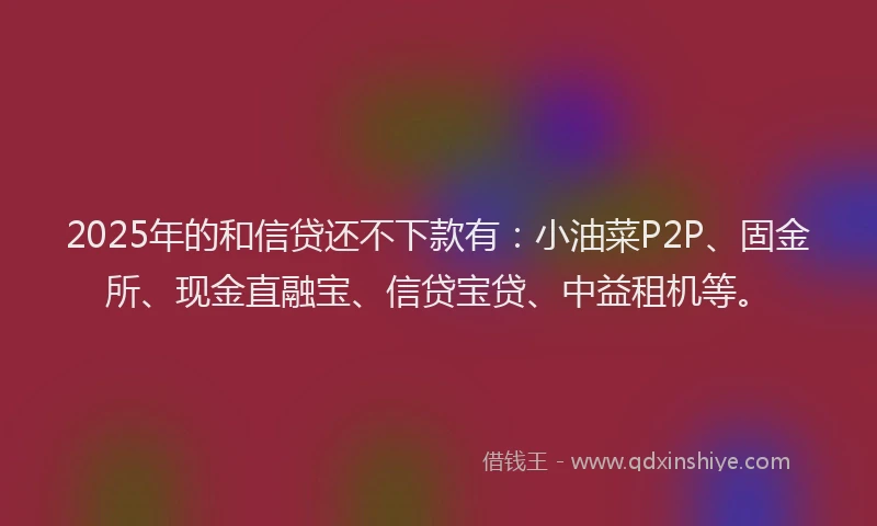 2025年的和信贷还不下款有：小油菜P2P、固金所、现金直融宝、信贷宝贷、中益租机等。