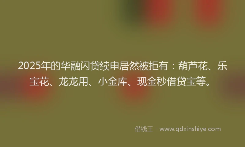 2025年的华融闪贷续申居然被拒有：葫芦花、乐宝花、龙龙用、小金库、现金秒借贷宝等。