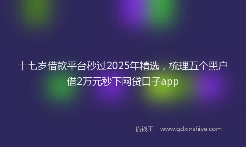十七岁借款平台秒过2025年精选，梳理五个黑户借2万元秒下网贷口子app
