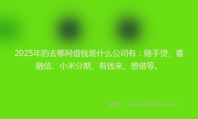 2025年的去哪网借钱是什么公司有：随手贷、喜融信、小米分期、有钱来、想借等。
