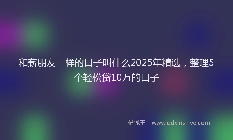 和薪朋友一样的口子叫什么2025年精选，整理5个轻松贷10万的口子
