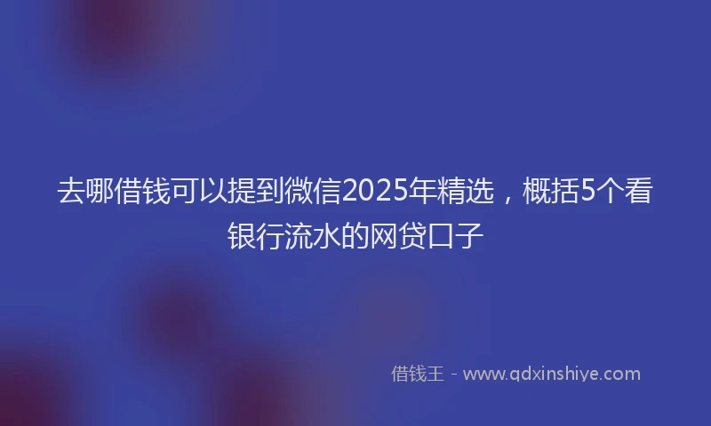 去哪借钱可以提到微信2025年精选，概括5个看银行流水的网贷口子