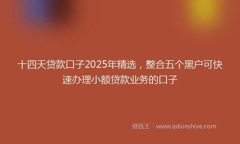 十四天贷款口子2025年精选，整合五个黑户可快速办理小额贷款业务的口子
