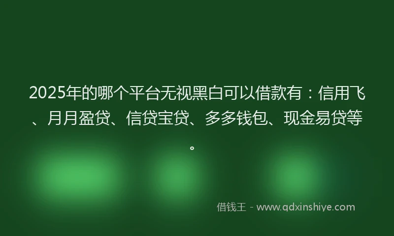 2025年的哪个平台无视黑白可以借款有：信用飞、月月盈贷、信贷宝贷、多多钱包、现金易贷等。
