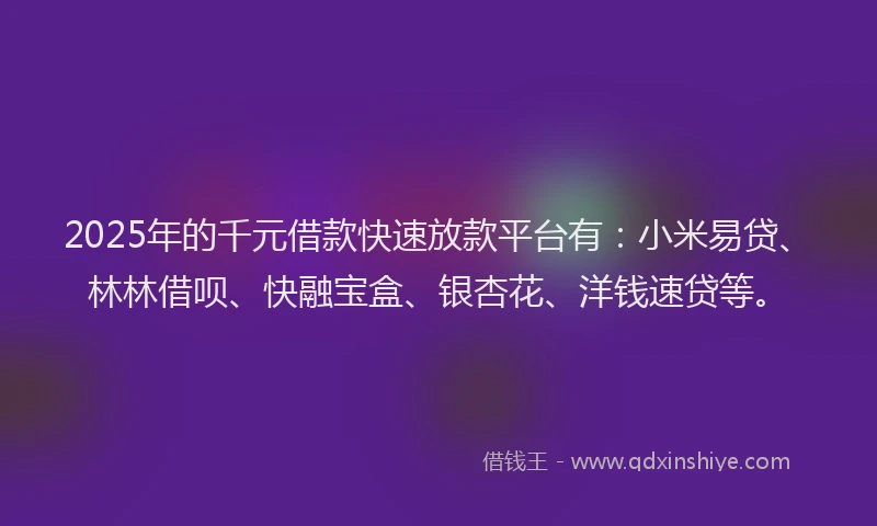 2025年的千元借款快速放款平台有：小米易贷、林林借呗、快融宝盒、银杏花、洋钱速贷等。