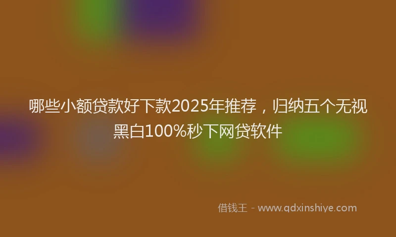 哪些小额贷款好下款2025年推荐，归纳五个无视黑白100%秒下网贷软件