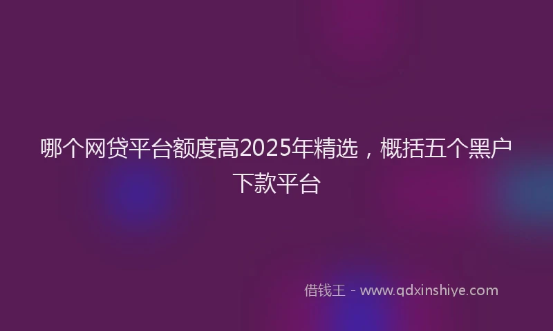 哪个网贷平台额度高2025年精选，概括五个黑户下款平台