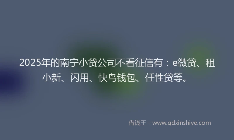 2025年的南宁小贷公司不看征信有：e微贷、租小新、闪用、快鸟钱包、任性贷等。