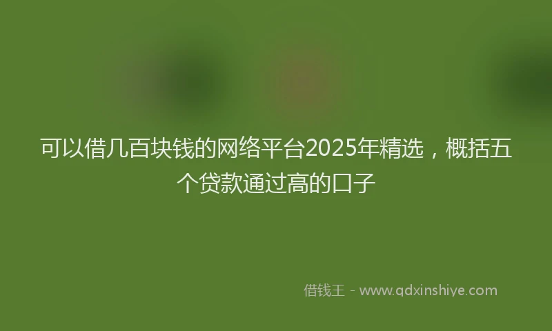 可以借几百块钱的网络平台2025年精选，概括五个贷款通过高的口子