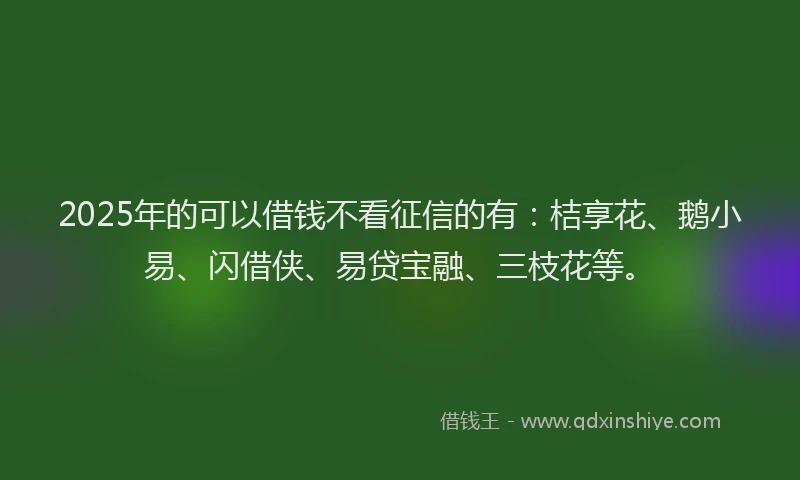 2025年的可以借钱不看征信的有：桔享花、鹅小易、闪借侠、易贷宝融、三枝花等。