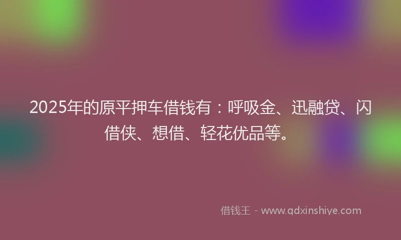 2025年的原平押车借钱有：呼吸金、迅融贷、闪借侠、想借、轻花优品等。