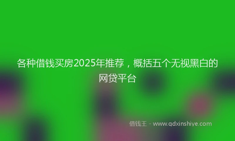 各种借钱买房2025年推荐，概括五个无视黑白的网贷平台