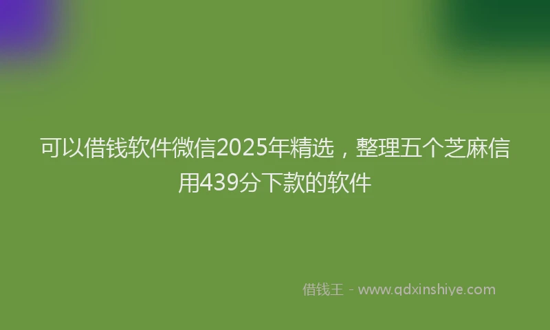 可以借钱软件微信2025年精选，整理五个芝麻信用439分下款的软件