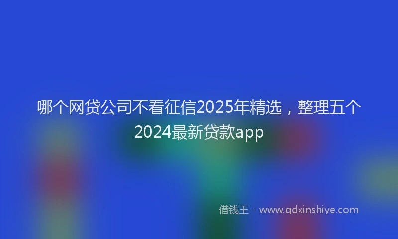 哪个网贷公司不看征信2025年精选，整理五个2024最新贷款app