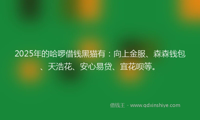 2025年的哈啰借钱黑猫有：向上金服、森森钱包、天浩花、安心易贷、宜花呗等。