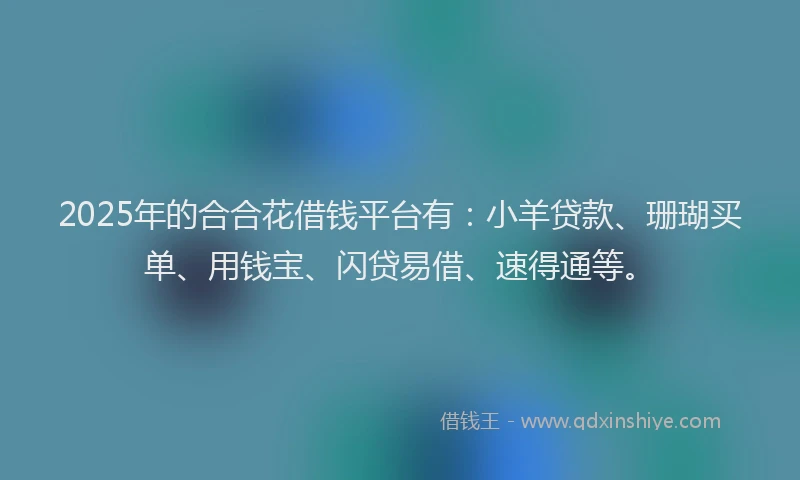 2025年的合合花借钱平台有：小羊贷款、珊瑚买单、用钱宝、闪贷易借、速得通等。