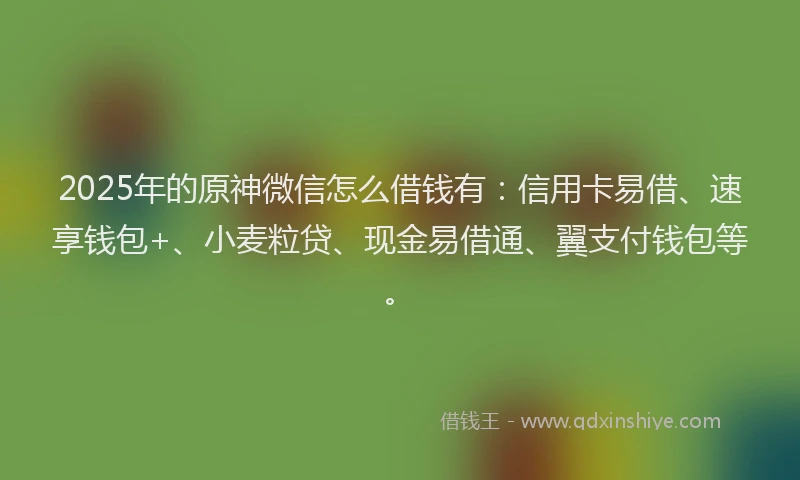 2025年的原神微信怎么借钱有：信用卡易借、速享钱包+、小麦粒贷、现金易借通、翼支付钱包等。