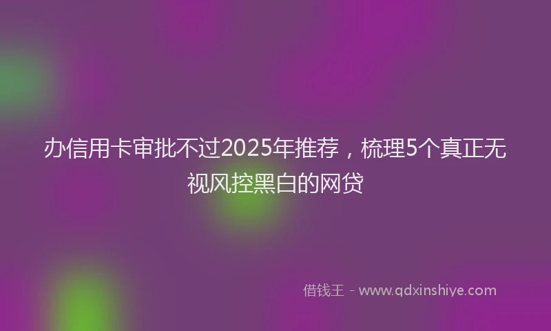 办信用卡审批不过2025年推荐，梳理5个真正无视风控黑白的网贷