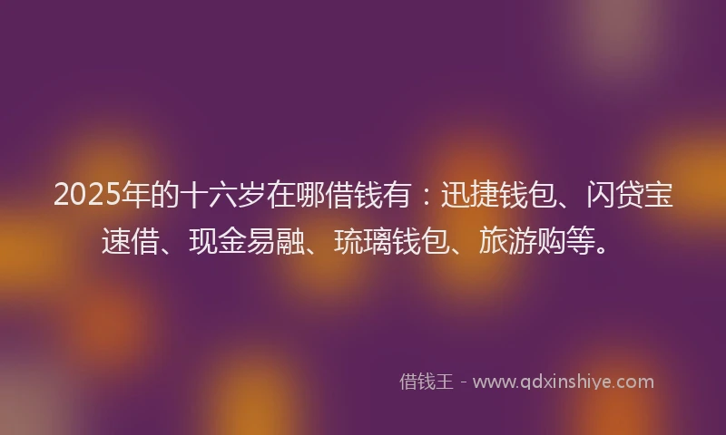 2025年的十六岁在哪借钱有：迅捷钱包、闪贷宝速借、现金易融、琉璃钱包、旅游购等。