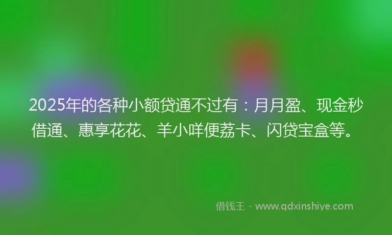 2025年的各种小额贷通不过有：月月盈、现金秒借通、惠享花花、羊小咩便荔卡、闪贷宝盒等。
