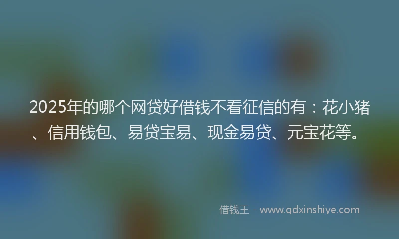 2025年的哪个网贷好借钱不看征信的有：花小猪、信用钱包、易贷宝易、现金易贷、元宝花等。