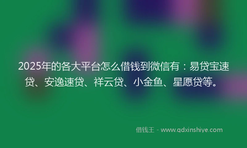 2025年的各大平台怎么借钱到微信有：易贷宝速贷、安逸速贷、祥云贷、小金鱼、星愿贷等。