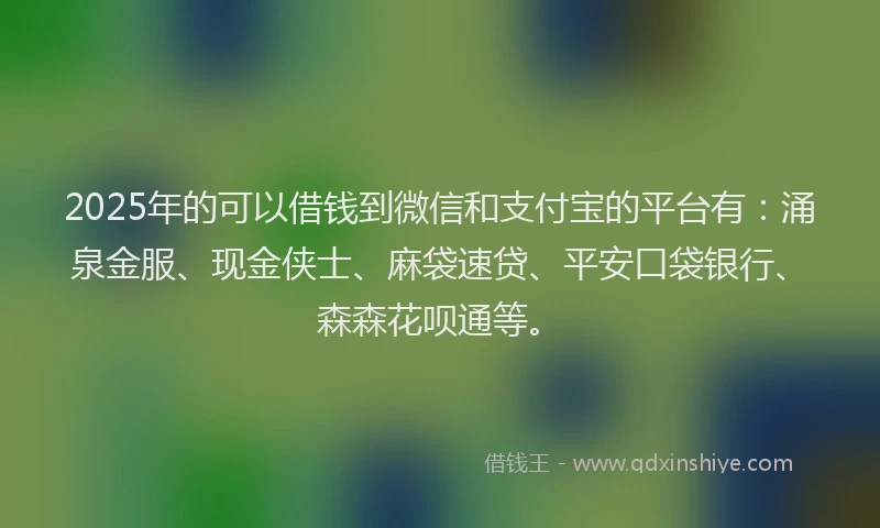 2025年的可以借钱到微信和支付宝的平台有：涌泉金服、现金侠士、麻袋速贷、平安口袋银行、森森花呗通等。