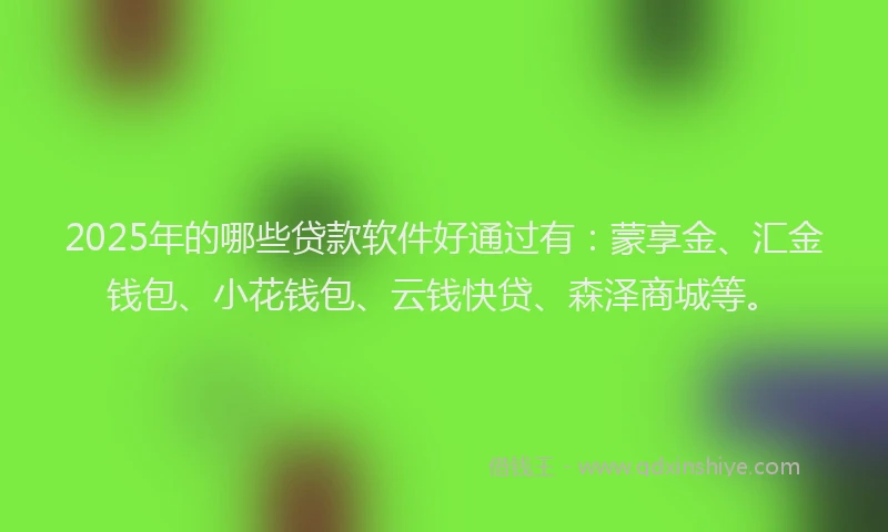 2025年的哪些贷款软件好通过有：蒙享金、汇金钱包、小花钱包、云钱快贷、森泽商城等。