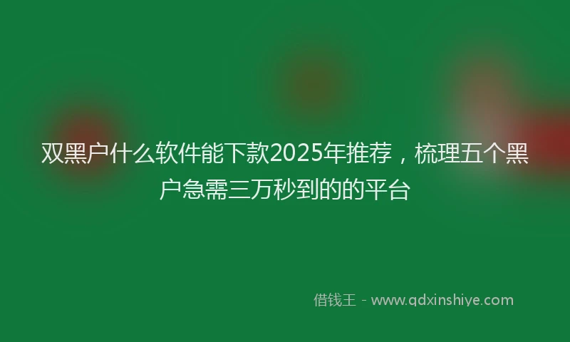 双黑户什么软件能下款2025年推荐，梳理五个黑户急需三万秒到的的平台