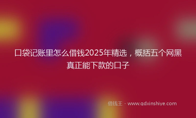 口袋记账里怎么借钱2025年精选，概括五个网黑真正能下款的口子