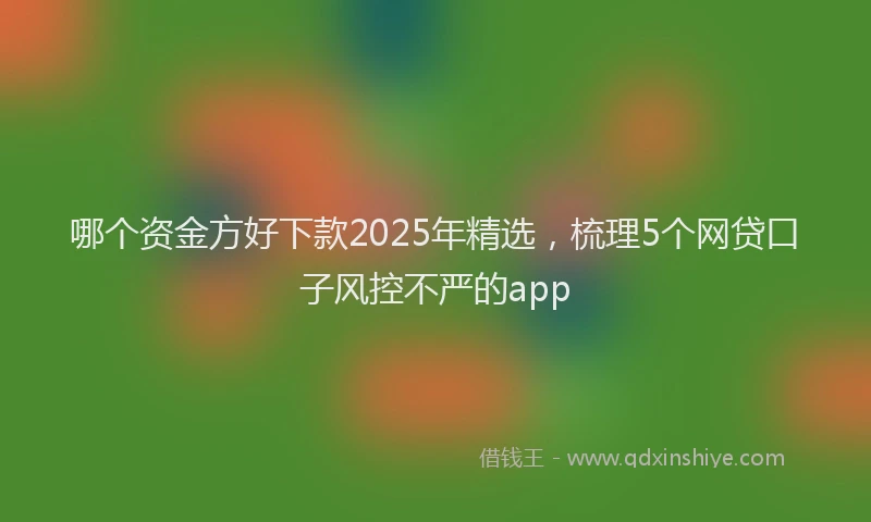 哪个资金方好下款2025年精选，梳理5个网贷口子风控不严的app