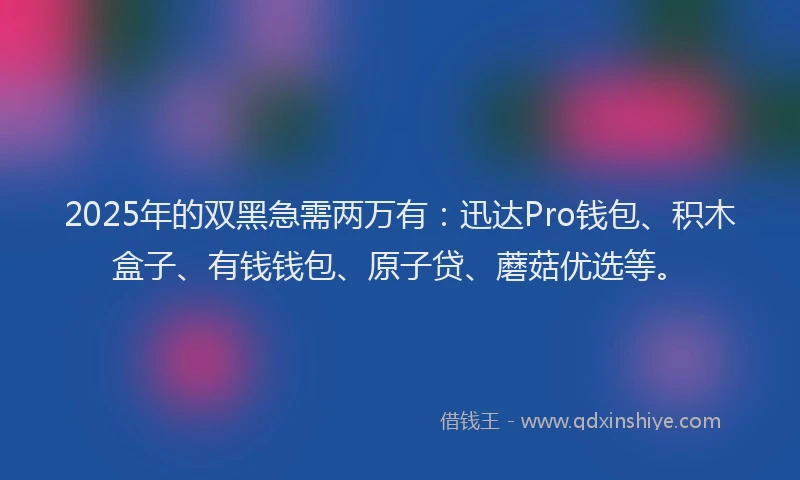 2025年的双黑急需两万有：迅达Pro钱包、积木盒子、有钱钱包、原子贷、蘑菇优选等。