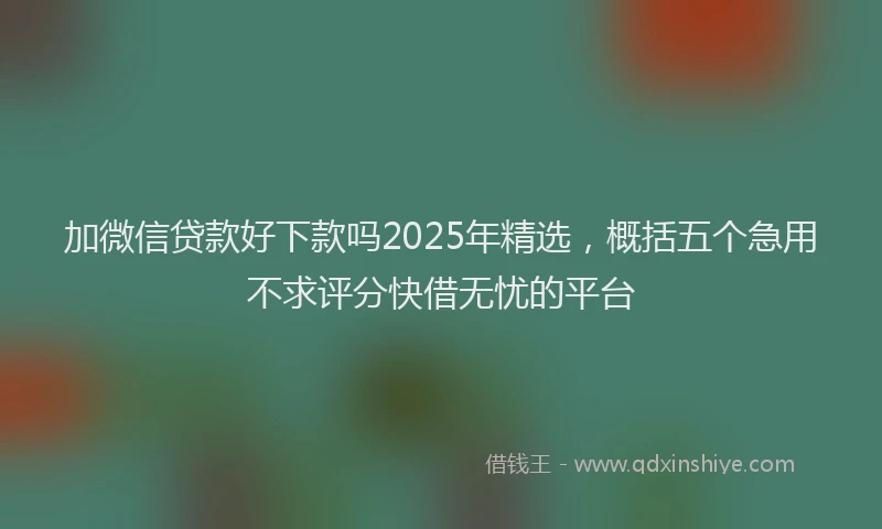 加微信贷款好下款吗2025年精选，概括五个急用不求评分快借无忧的平台