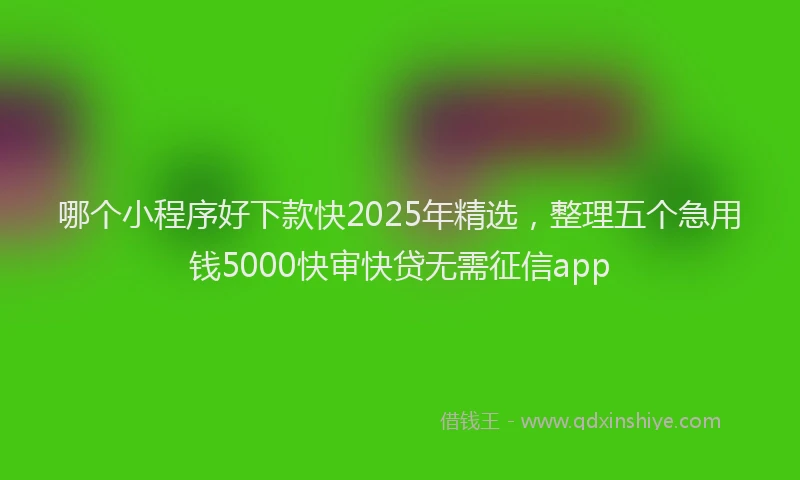 哪个小程序好下款快2025年精选，整理五个急用钱5000快审快贷无需征信app