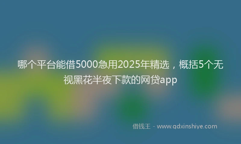 哪个平台能借5000急用2025年精选，概括5个无视黑花半夜下款的网贷app