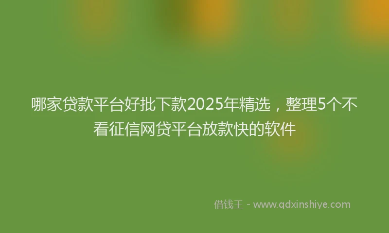 哪家贷款平台好批下款2025年精选，整理5个不看征信网贷平台放款快的软件