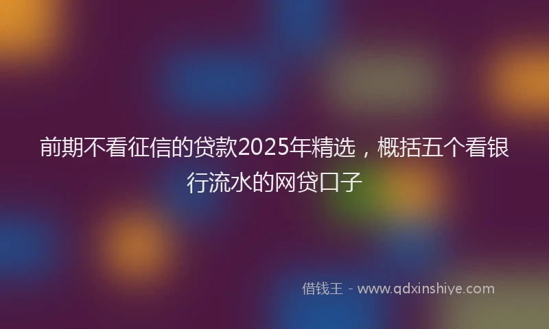 前期不看征信的贷款2025年精选，概括五个看银行流水的网贷口子