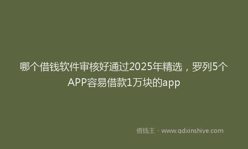 哪个借钱软件审核好通过2025年精选，罗列5个APP容易借款1万块的app