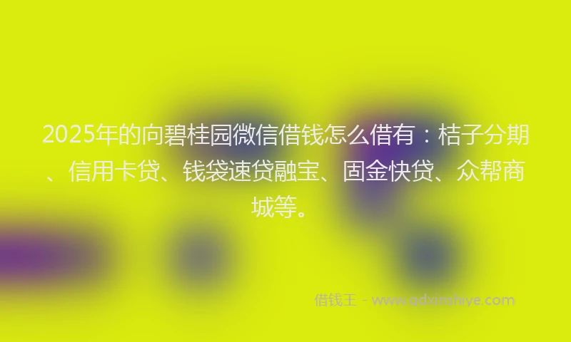 2025年的向碧桂园微信借钱怎么借有：桔子分期、信用卡贷、钱袋速贷融宝、固金快贷、众帮商城等。