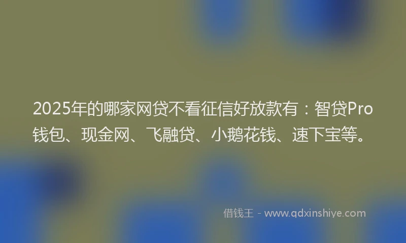 2025年的哪家网贷不看征信好放款有：智贷Pro钱包、现金网、飞融贷、小鹅花钱、速下宝等。