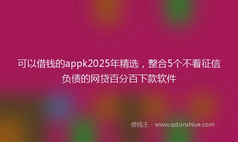 可以借钱的appk2025年精选，整合5个不看征信负债的网贷百分百下款软件