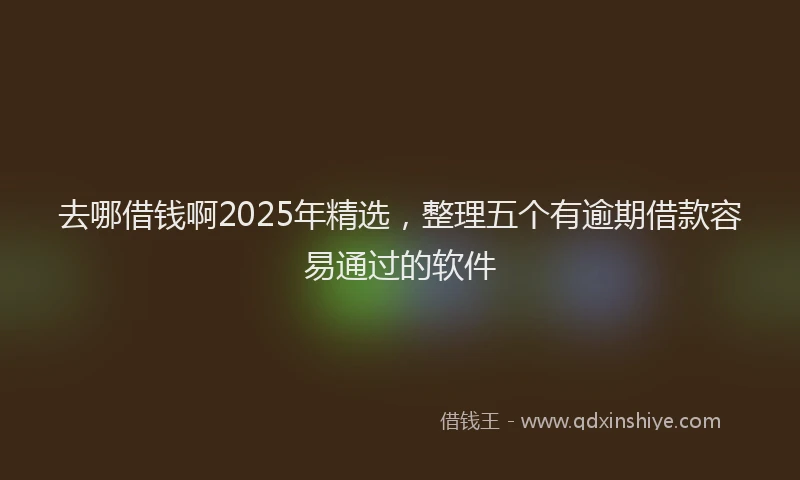 去哪借钱啊2025年精选，整理五个有逾期借款容易通过的软件