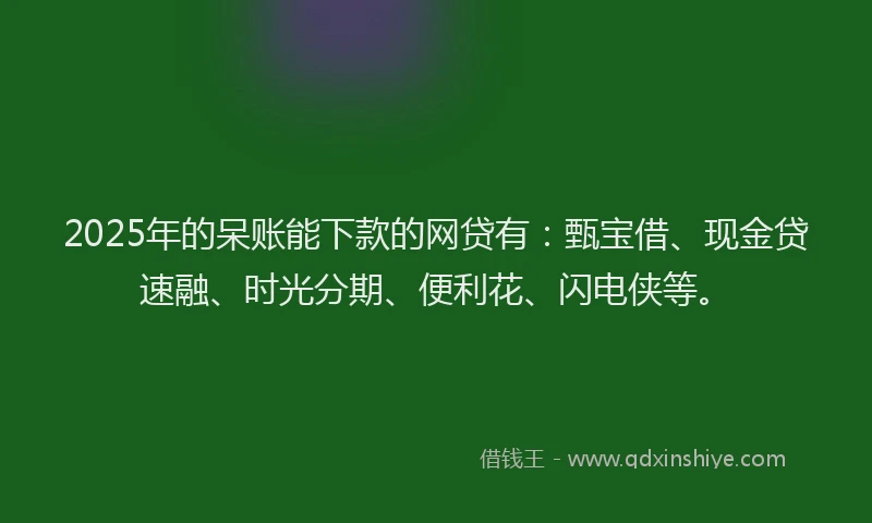 2025年的呆账能下款的网贷有：甄宝借、现金贷速融、时光分期、便利花、闪电侠等。