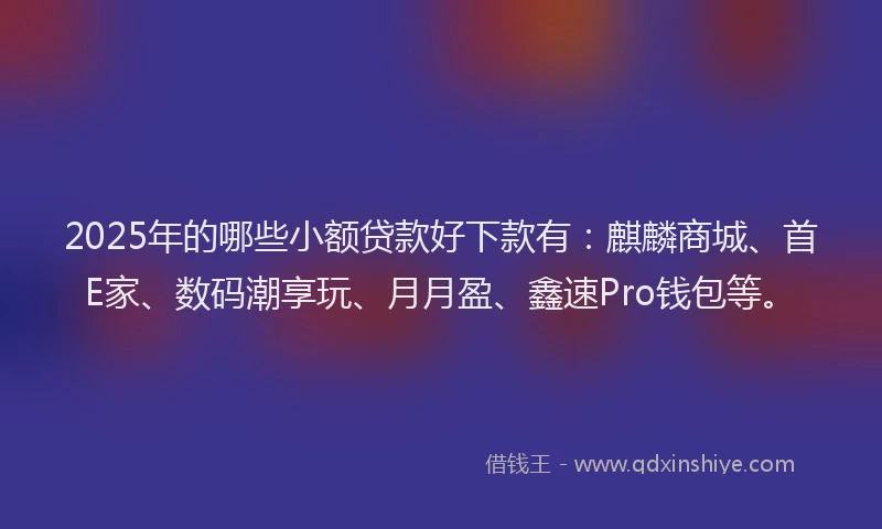 2025年的哪些小额贷款好下款有：麒麟商城、首E家、数码潮享玩、月月盈、鑫速Pro钱包等。