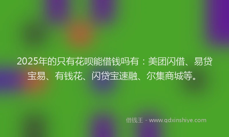 2025年的只有花呗能借钱吗有：美团闪借、易贷宝易、有钱花、闪贷宝速融、尔集商城等。
